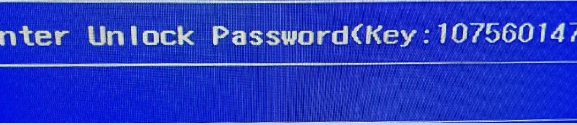 Acer 10 digits bios master password